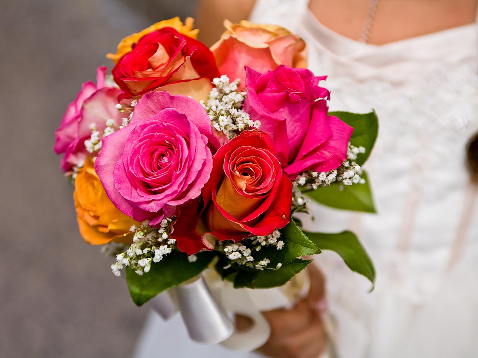 Roses