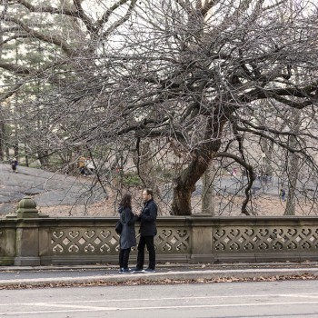 Leading up to the surprise proposal
