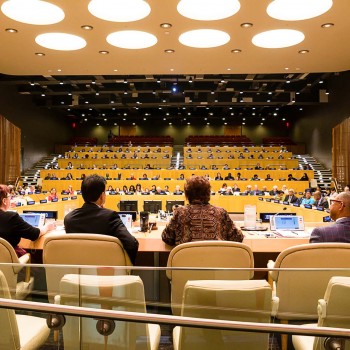 UN-panel-view