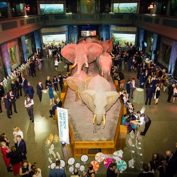 Museum-of-Natural-History-pre-event