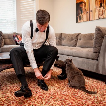 Groom and his best cat getting ready for wedding