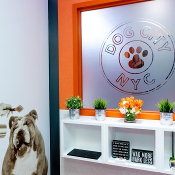 Corporate-Conferences_Expos_Activations-074