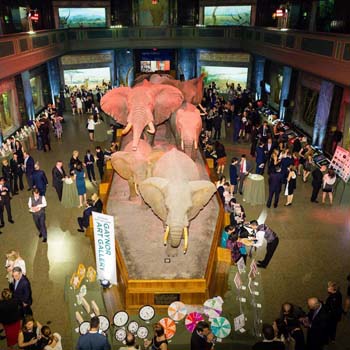 Museum-of-Natural-History-pre-event-1