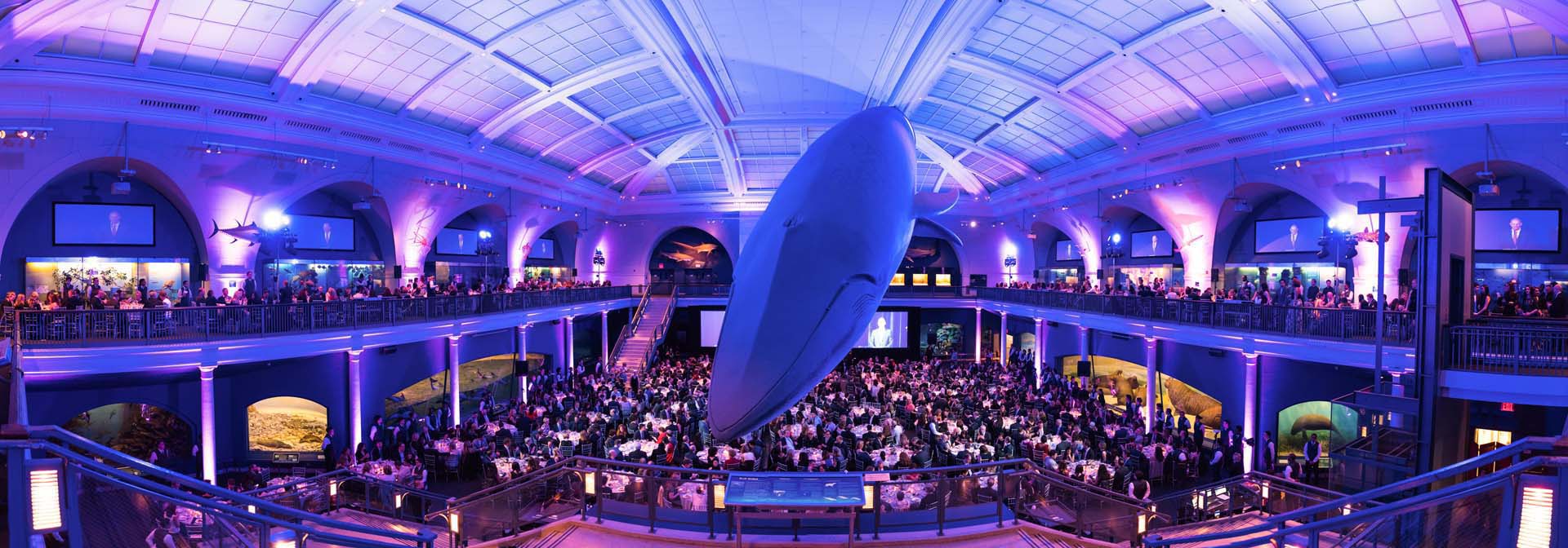 The Role of Photography in Creating Shareable Event Moments | Deutsch ...