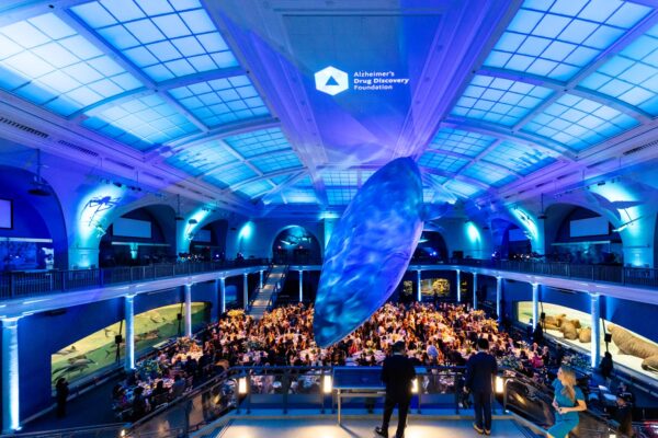 A Great Event Gallery Has a Sense of Scale